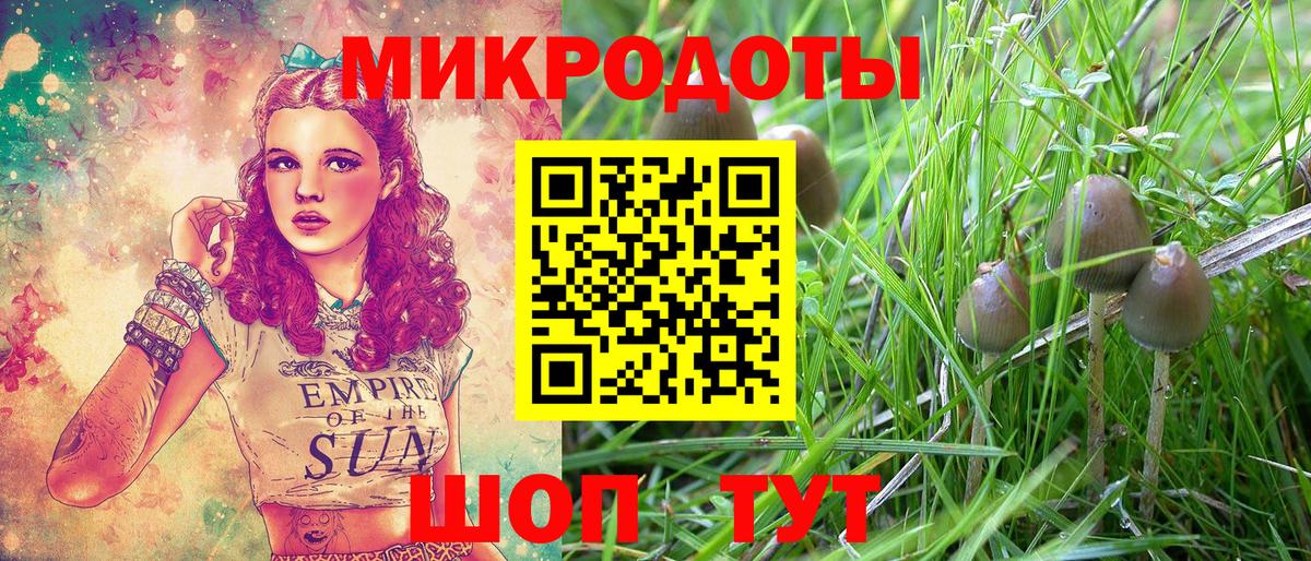 Галлюциногенные грибы Psilocybe Тосно