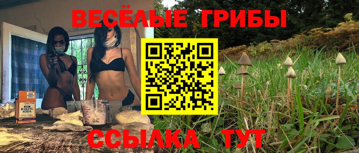 Галлюциногенные грибы мухоморы  Псилоцибиновые грибы Cubensis  Вход с VPN  Тосно 