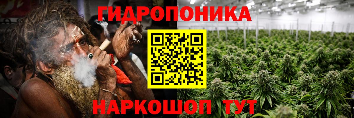 Марихуана тримм  Конопля Bruce Banner  МАРИХУАНА сатива  Вход с VPN  Тосно 