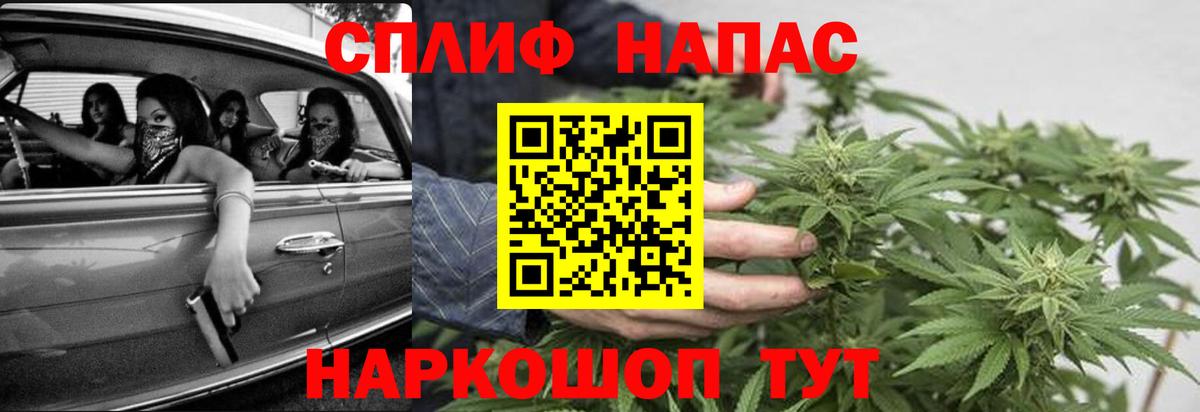 Бошки Шишки марихуана Тосно